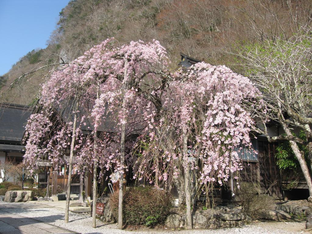 Masugen Ryokan Tenkawa Ngoại thất bức ảnh